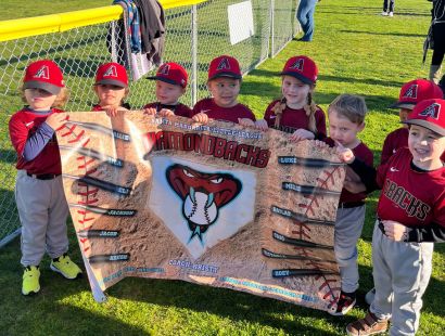 Rancho Santa Margarita Little League Diamondbacks